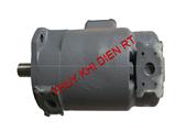 VANE PUMP